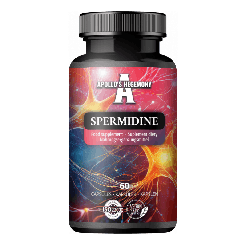 Apollo's Hegemony Spermidine 6 mg – 60 veganske kapsler med hvetekimekstrakt