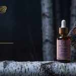 Bloggbanner fra Bli God med teksten «Chaga»: Chaga flytende ekstrakt i dråpeflaske på en bjørkestamme med chagakjuke, mørk bjørkeskog om natten