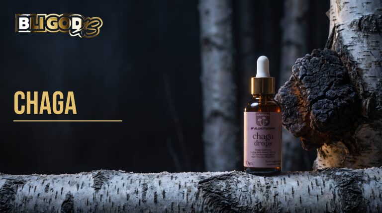 Bloggbanner fra Bli God med teksten «Chaga»: Chaga flytende ekstrakt i dråpeflaske på en bjørkestamme med chagakjuke, mørk bjørkeskog om natten