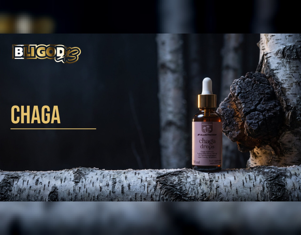Bloggbanner fra Bli God med teksten «Chaga»: Chaga flytende ekstrakt i dråpeflaske på en bjørkestamme med chagakjuke, mørk bjørkeskog om natten